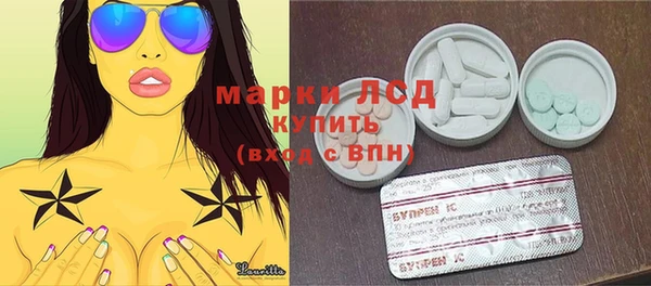 ПСИЛОЦИБИНОВЫЕ ГРИБЫ Каменка
