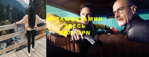 прущие грибы Карталы